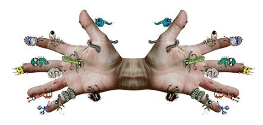 Possibilities to infect parasites