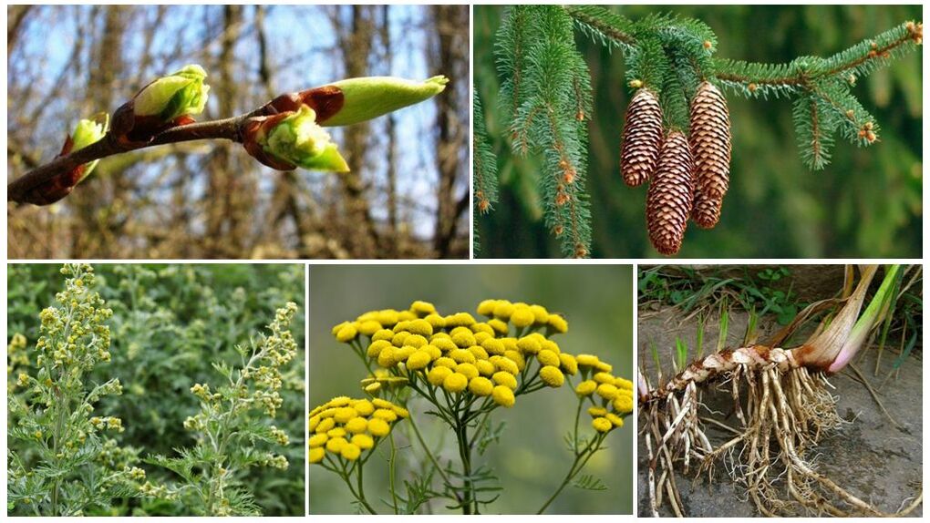 Herbal ingredients to make an anti-parasitic collection