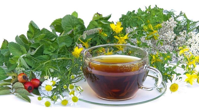 Herbal tea for removing parasites from the body